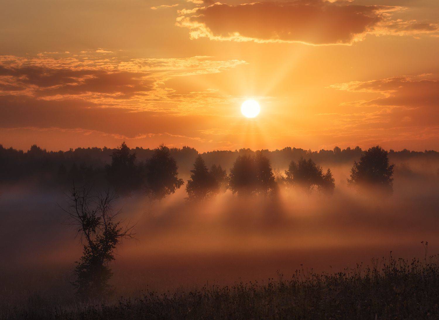 , Овсенёв Александр