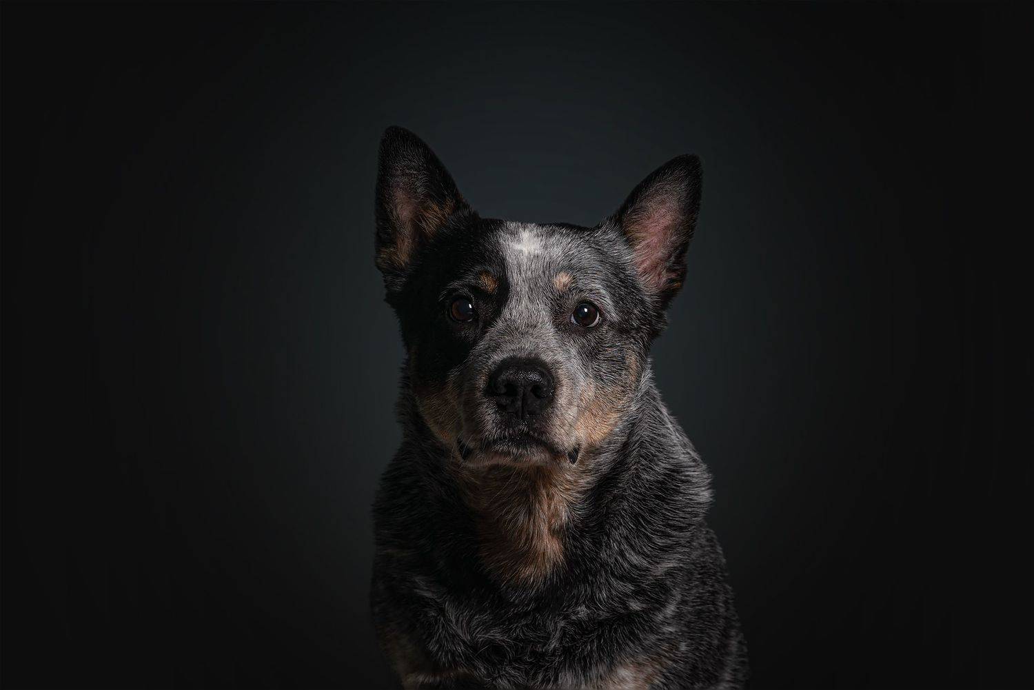 , Юлия Гончар