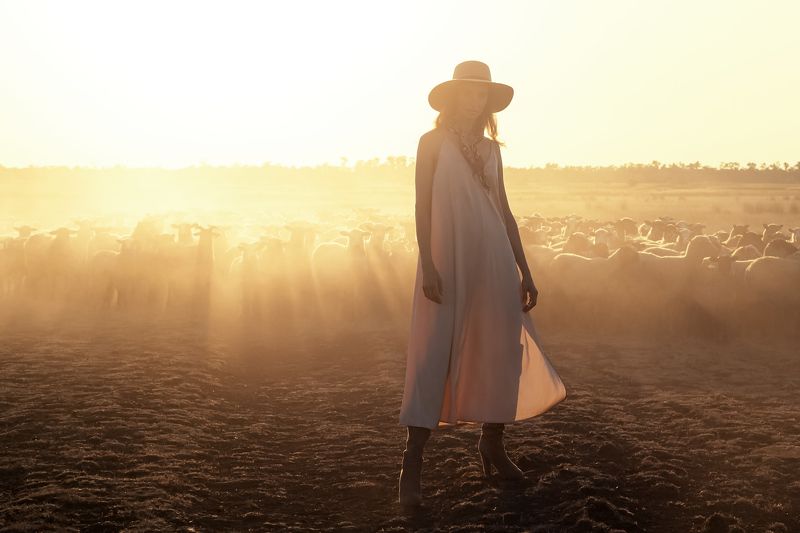 Potapov.store  фото превью