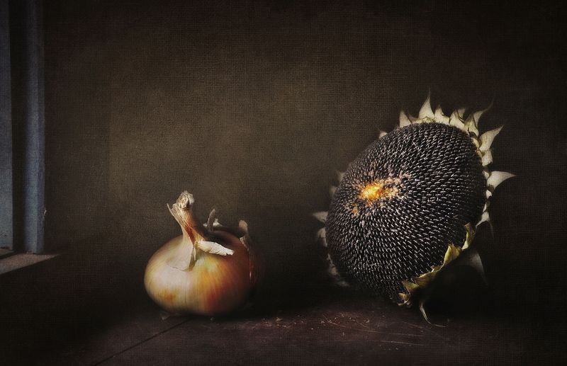 Чёрное солнце фото превью