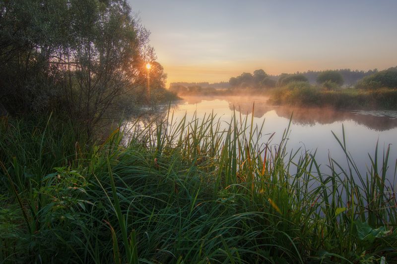 пейзаж, рассвет, туман, река, утро, landscape, dawn, fog, river, morning Летняя пора на реке Волчья фото превью