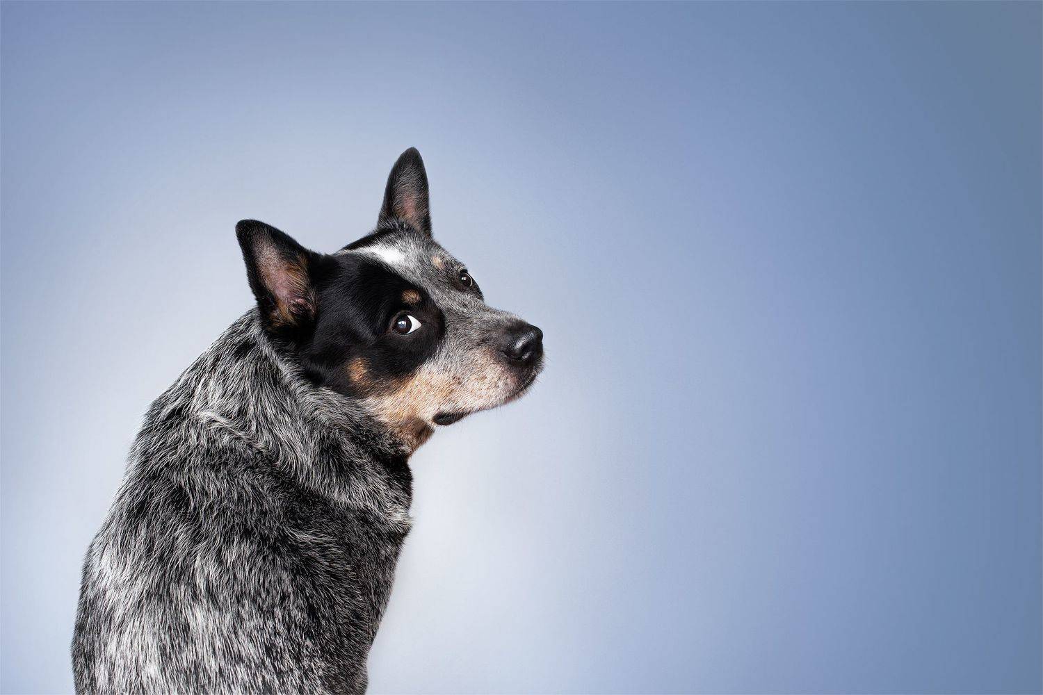 , Юлия Гончар