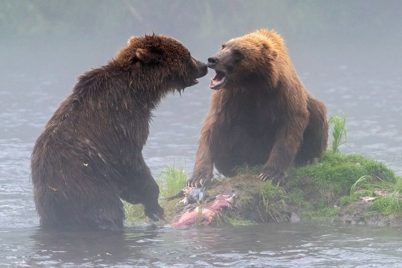 Где был, я тебя спрашиваю! фото превью