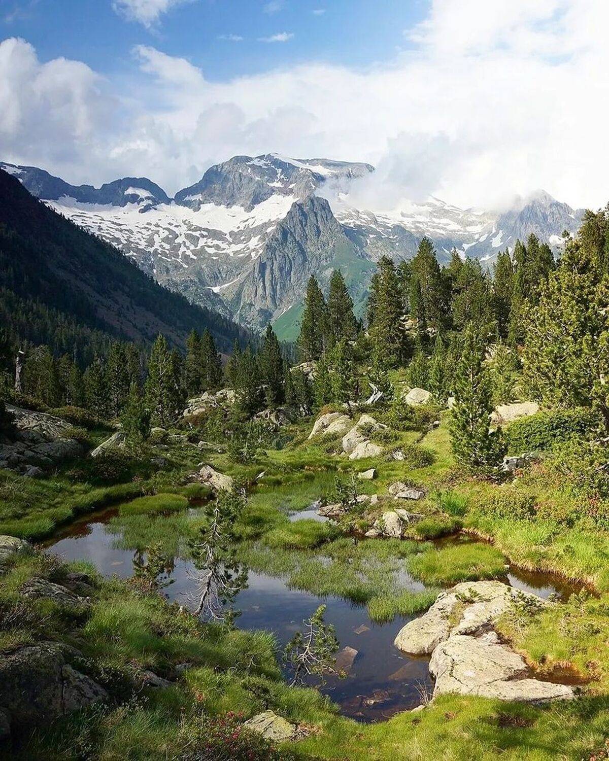 , Петр Косых