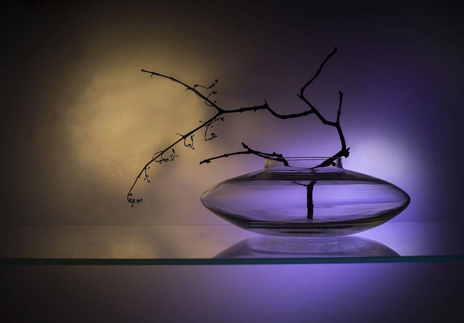 , Евгений Попов