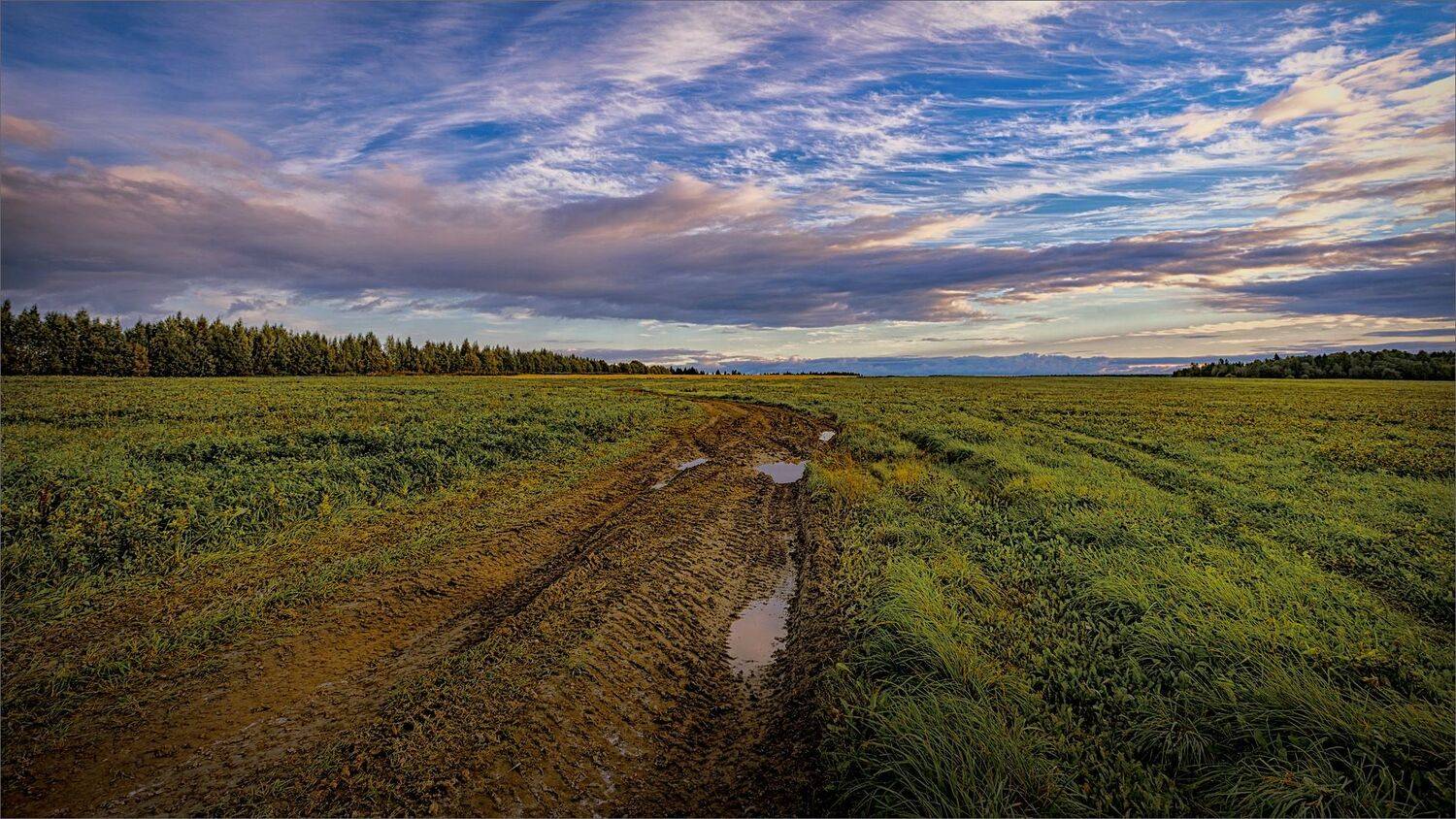 пейзаж, осень, вечер, деревня, поле, небо, свет, цвет, дорога, александр никитинский, Никитинский Александр
