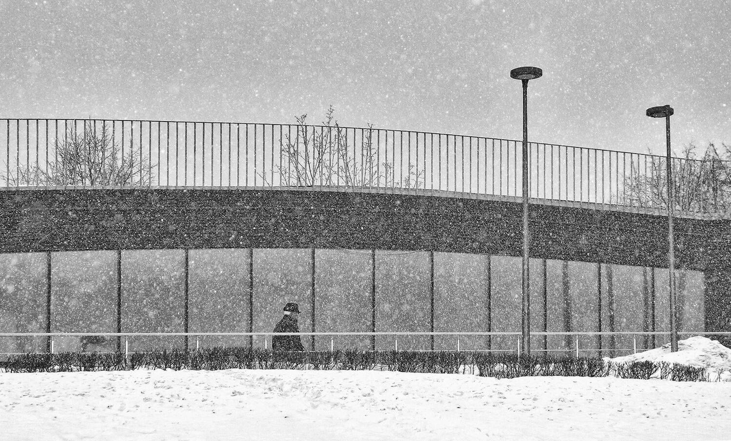 , Елена Лаврова