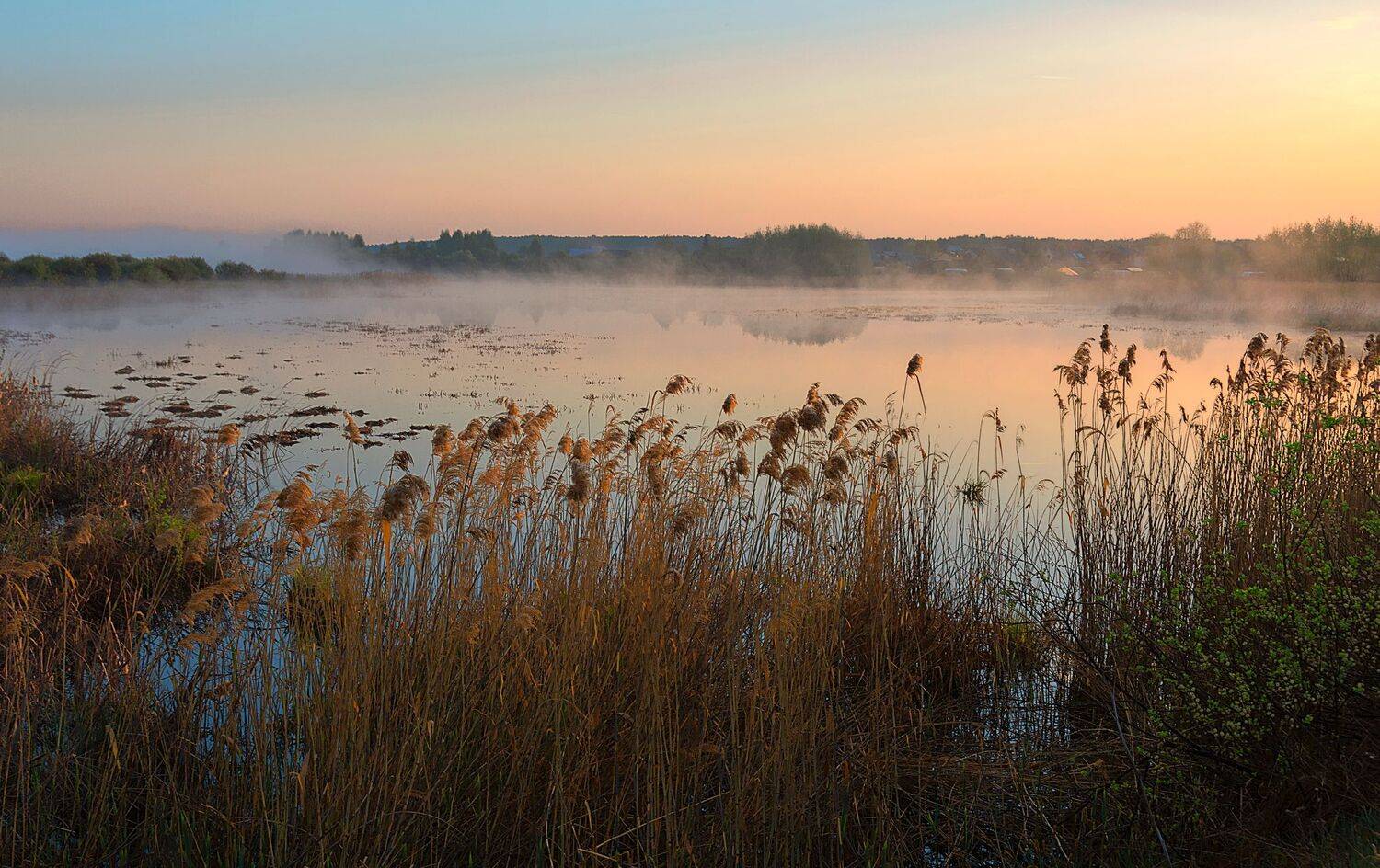 южный урал, река синара, окрестности села воскресенское, утро, Кетова Вера