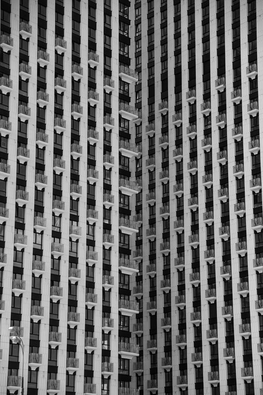 Человейник 2 фото превью