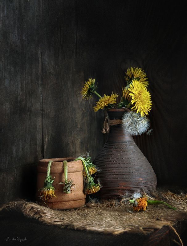 *** фото превью