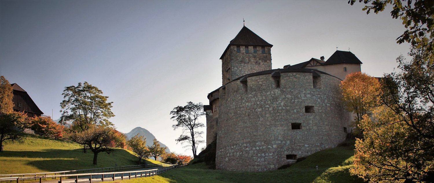 , Максимушкина Ольга