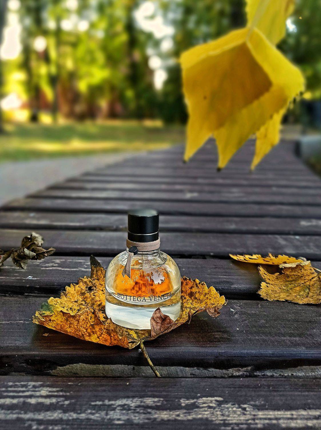 , Дина Полухина