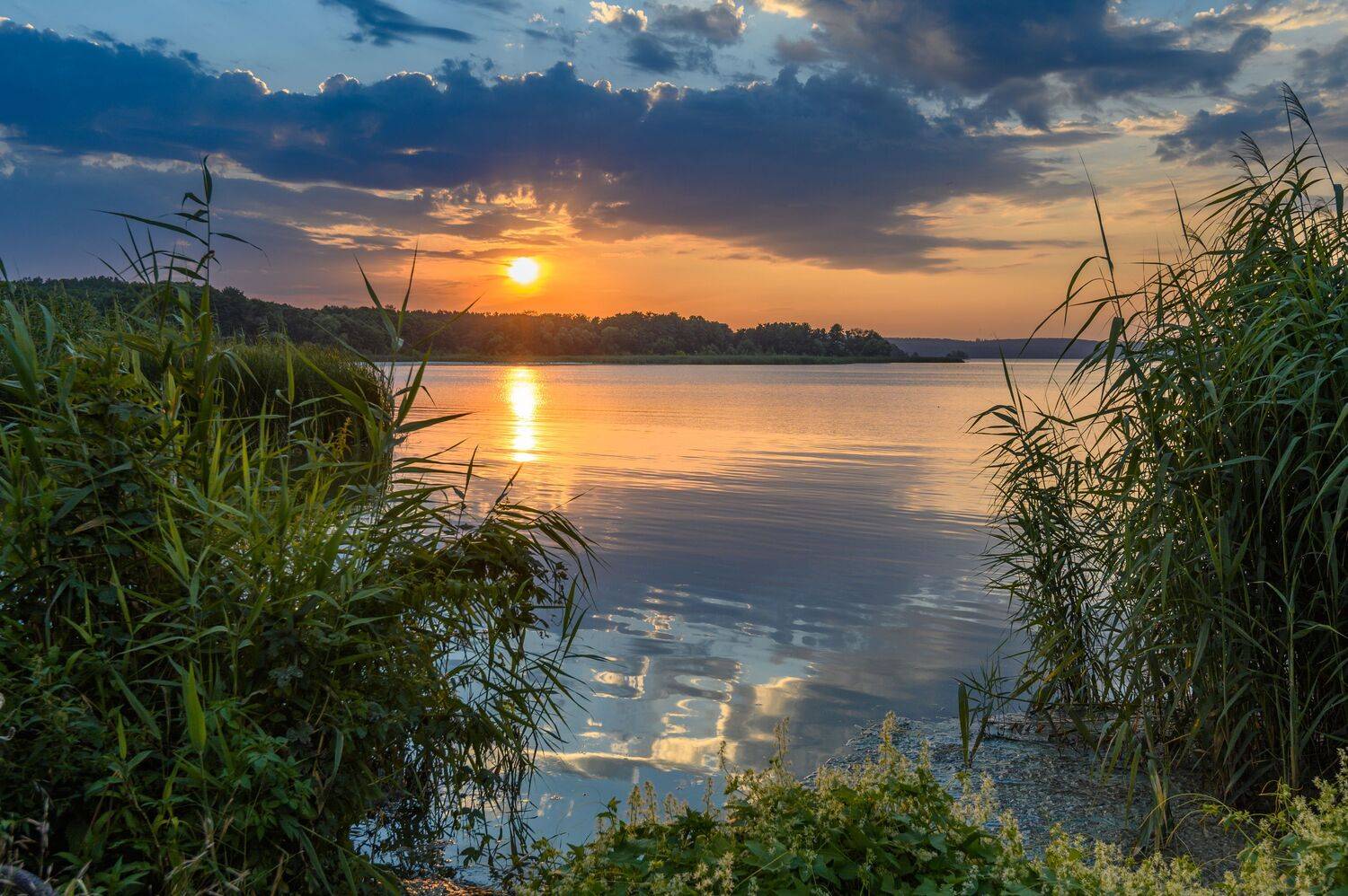 , Караваев Антон