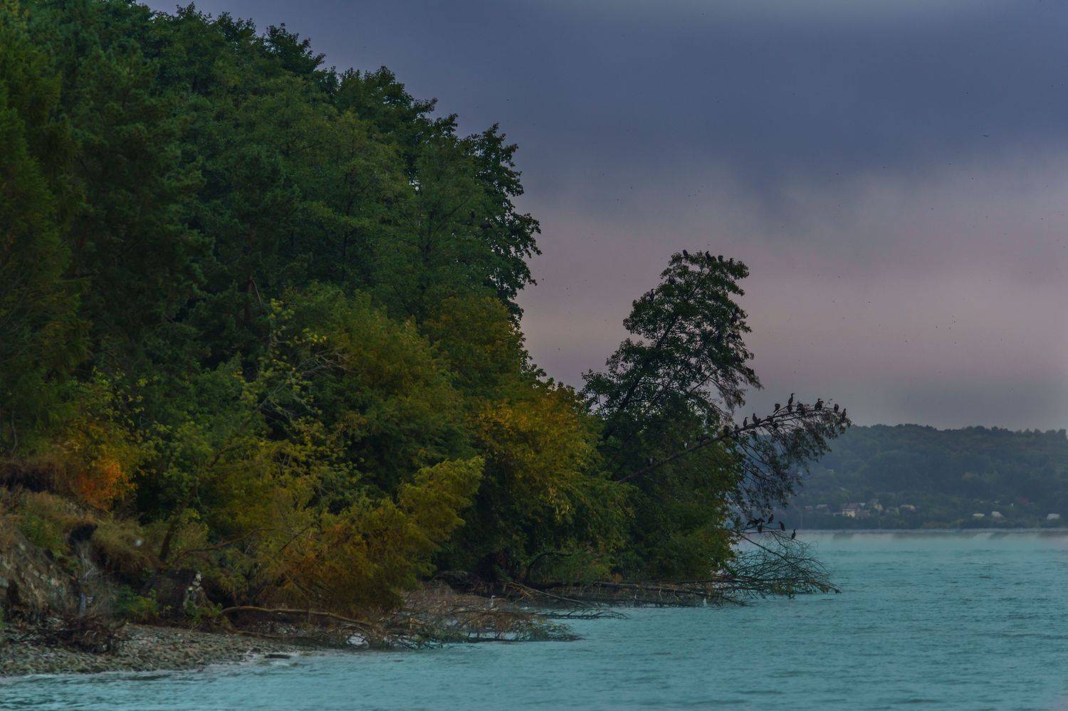 , Семенко Александр