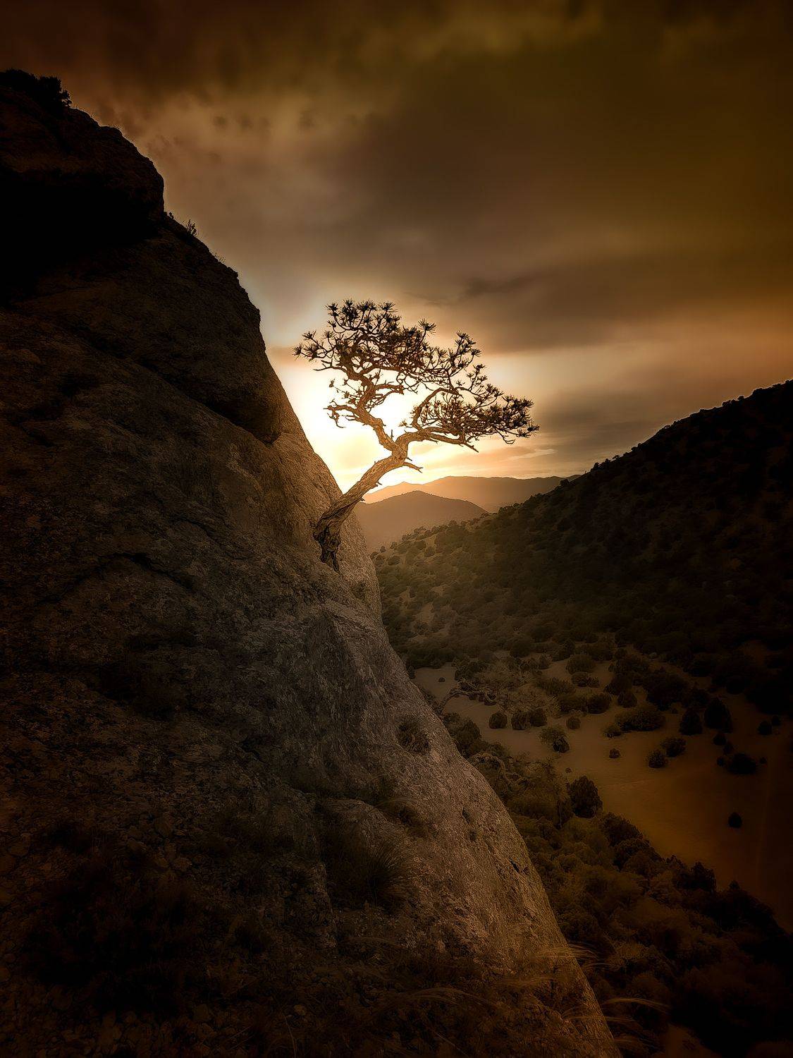 , Разумов Александр