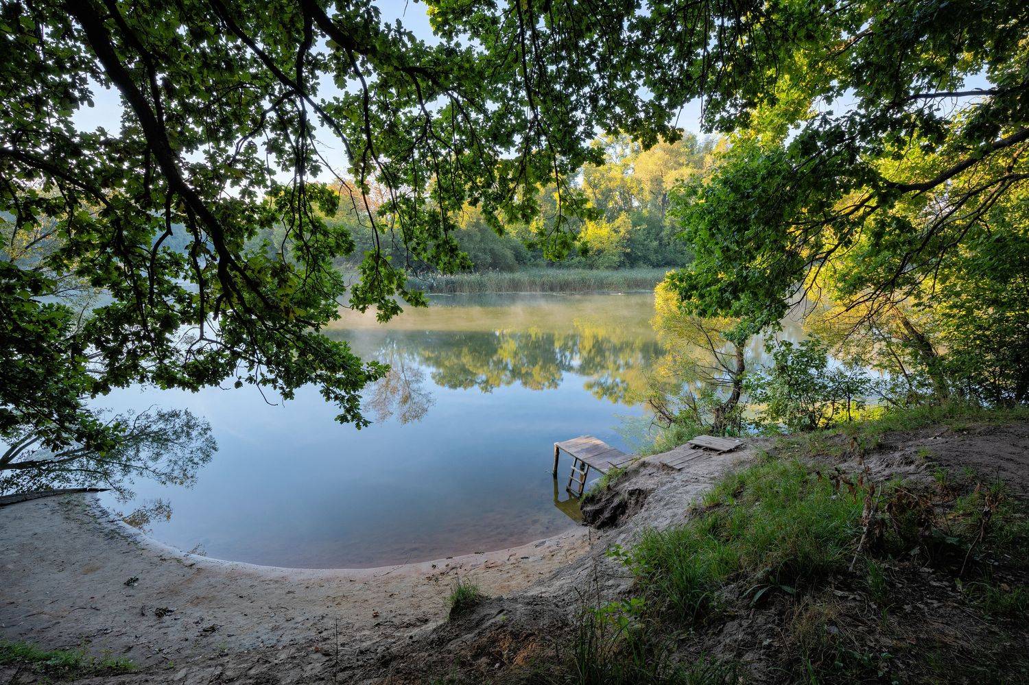, Александр Бредихин