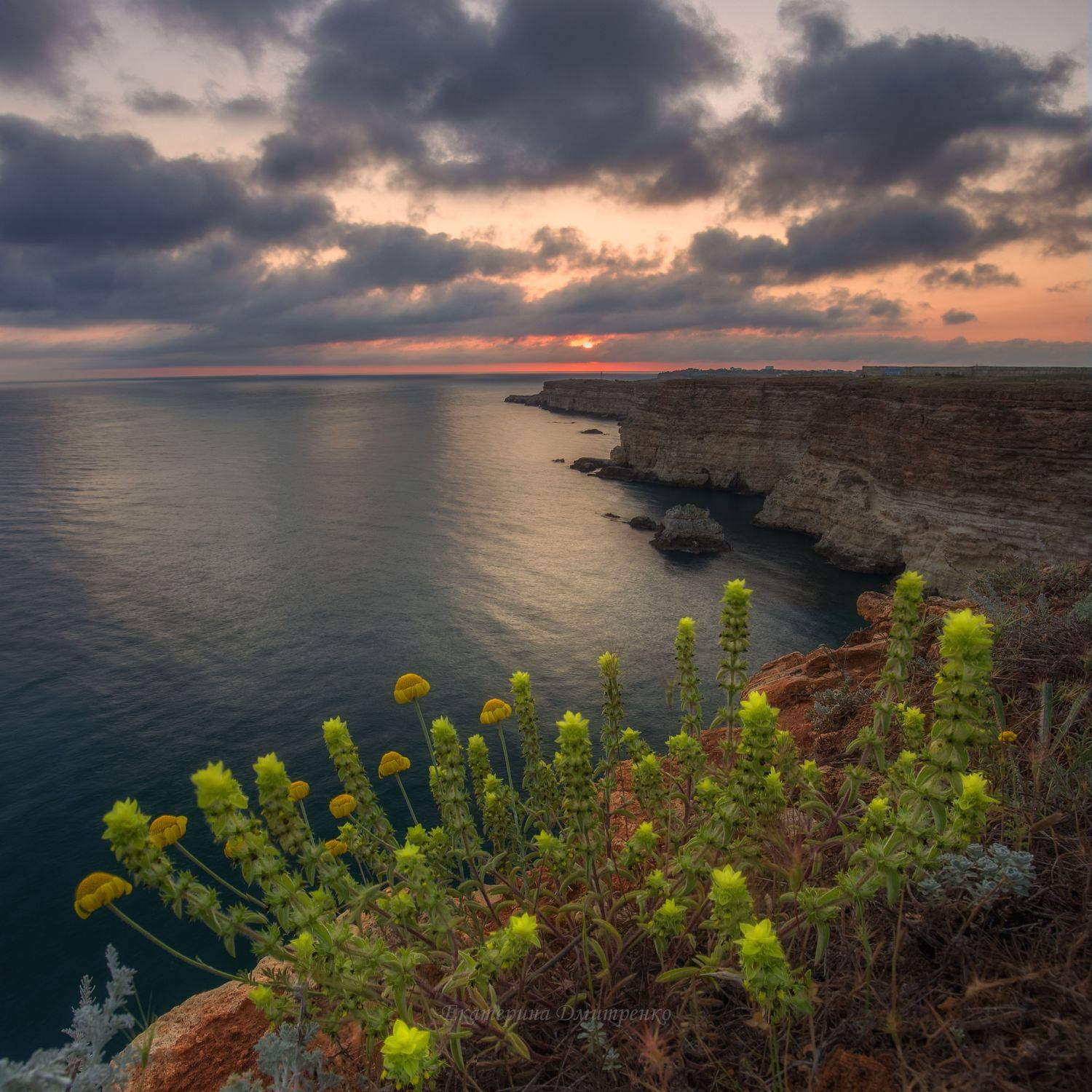 закат, пейзаж, севастополь, фиолент, лето, крым, море, цветы, crimea, sea, landscape, seascape, Дмитренко Екатерина