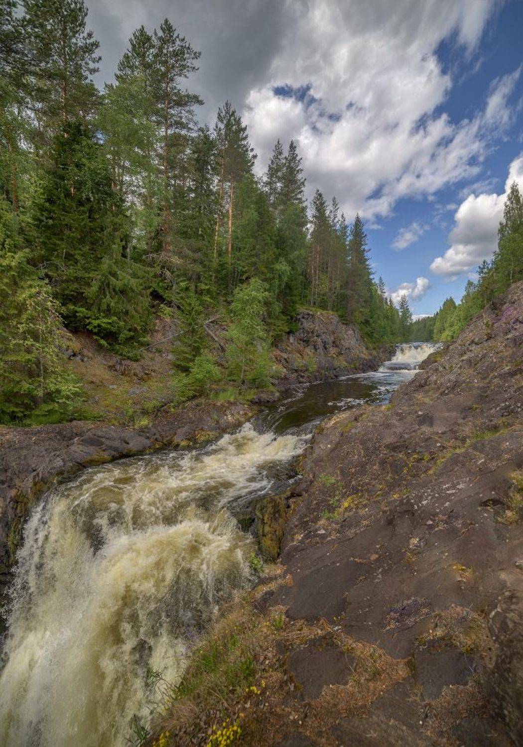 Карелия, водопад, река, скалы, лес , лето, пороги, камни, Сергей Аникин