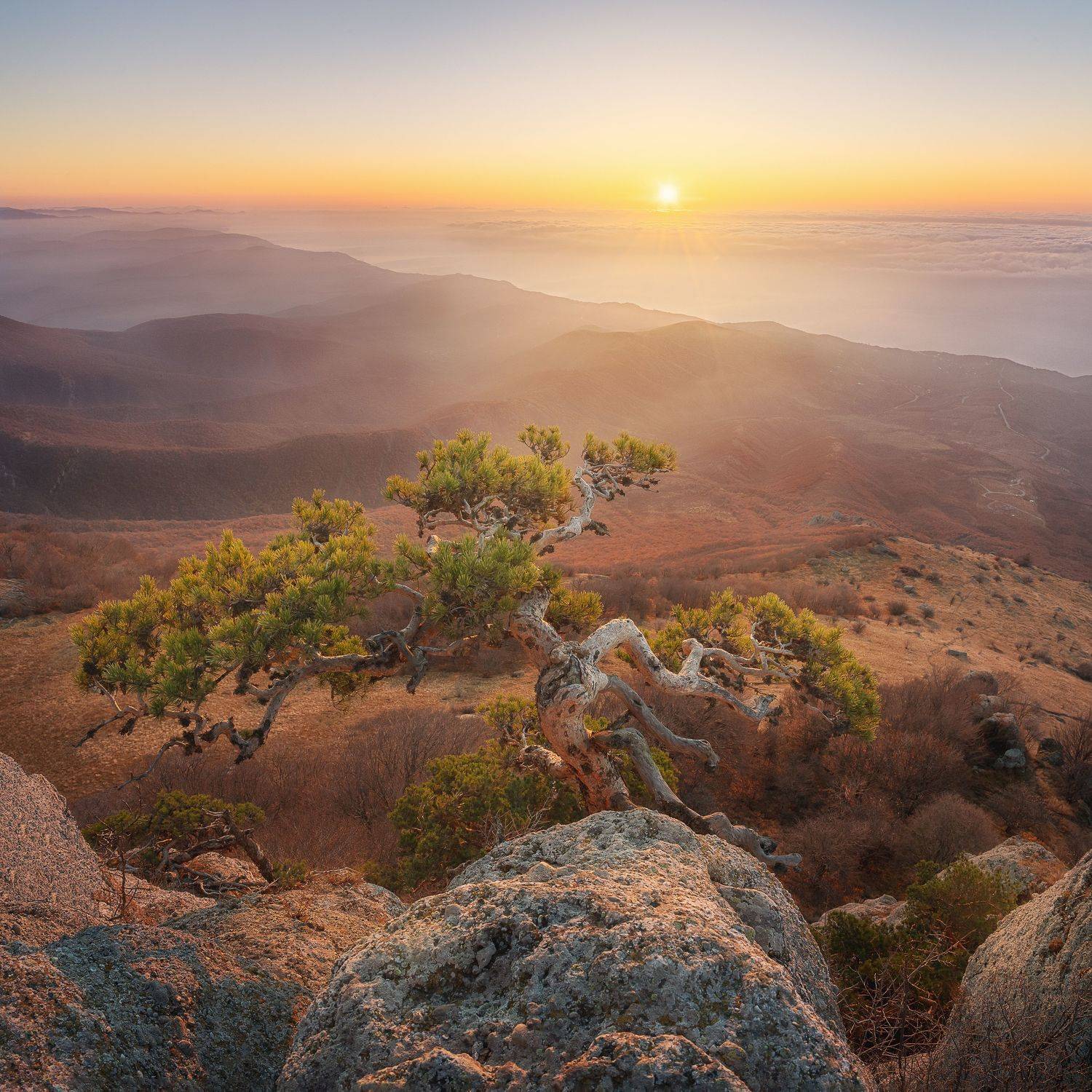 , Michael Kharitonychev