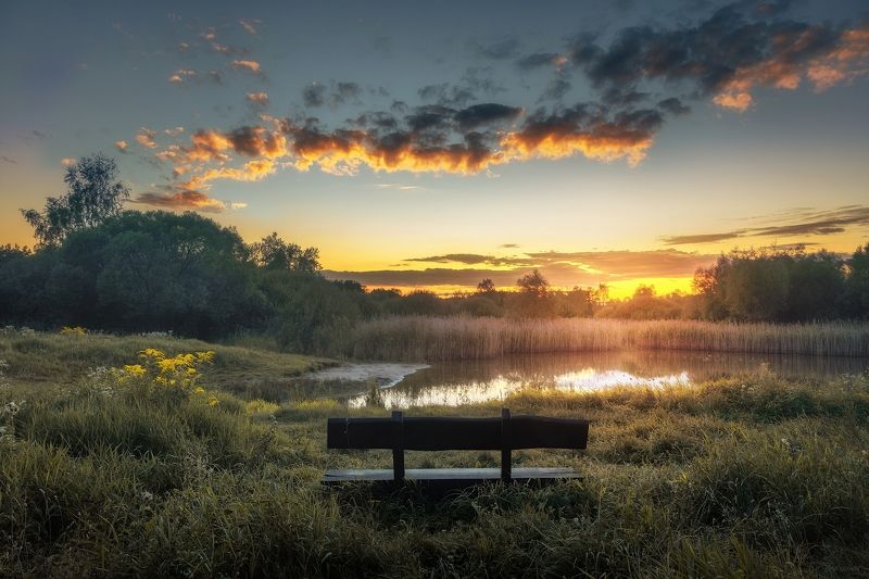 Место в первом ряду фото превью