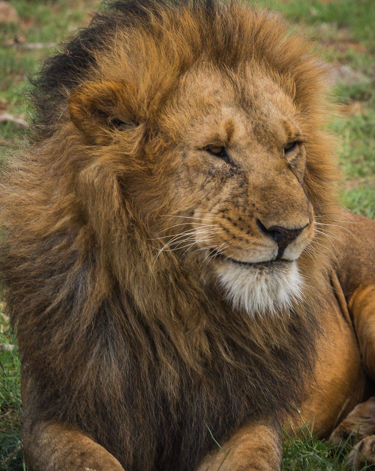 , Максимова Дария