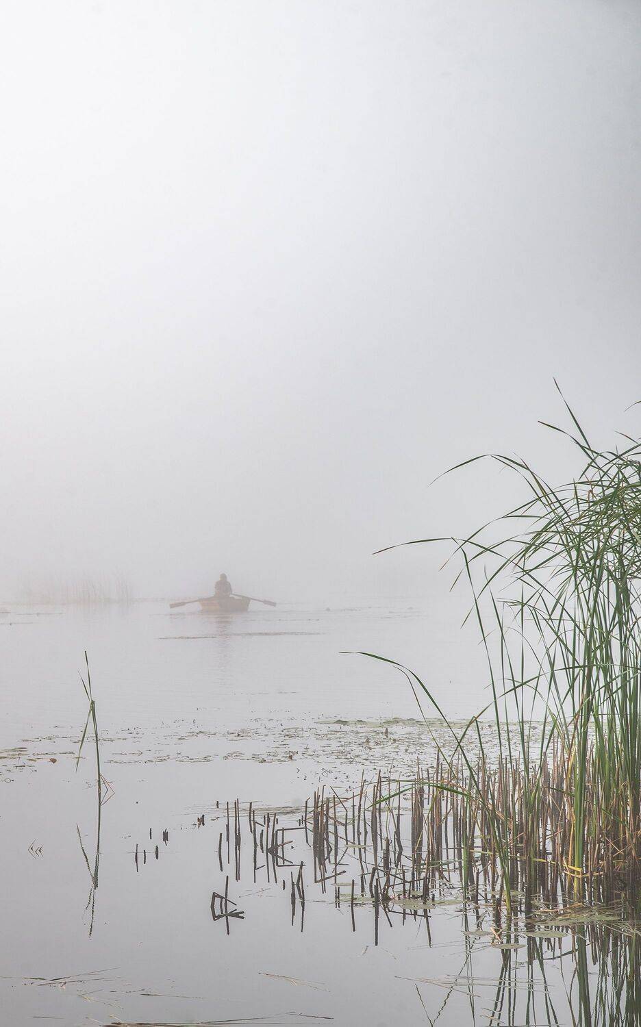 , Алексей Шуплецов