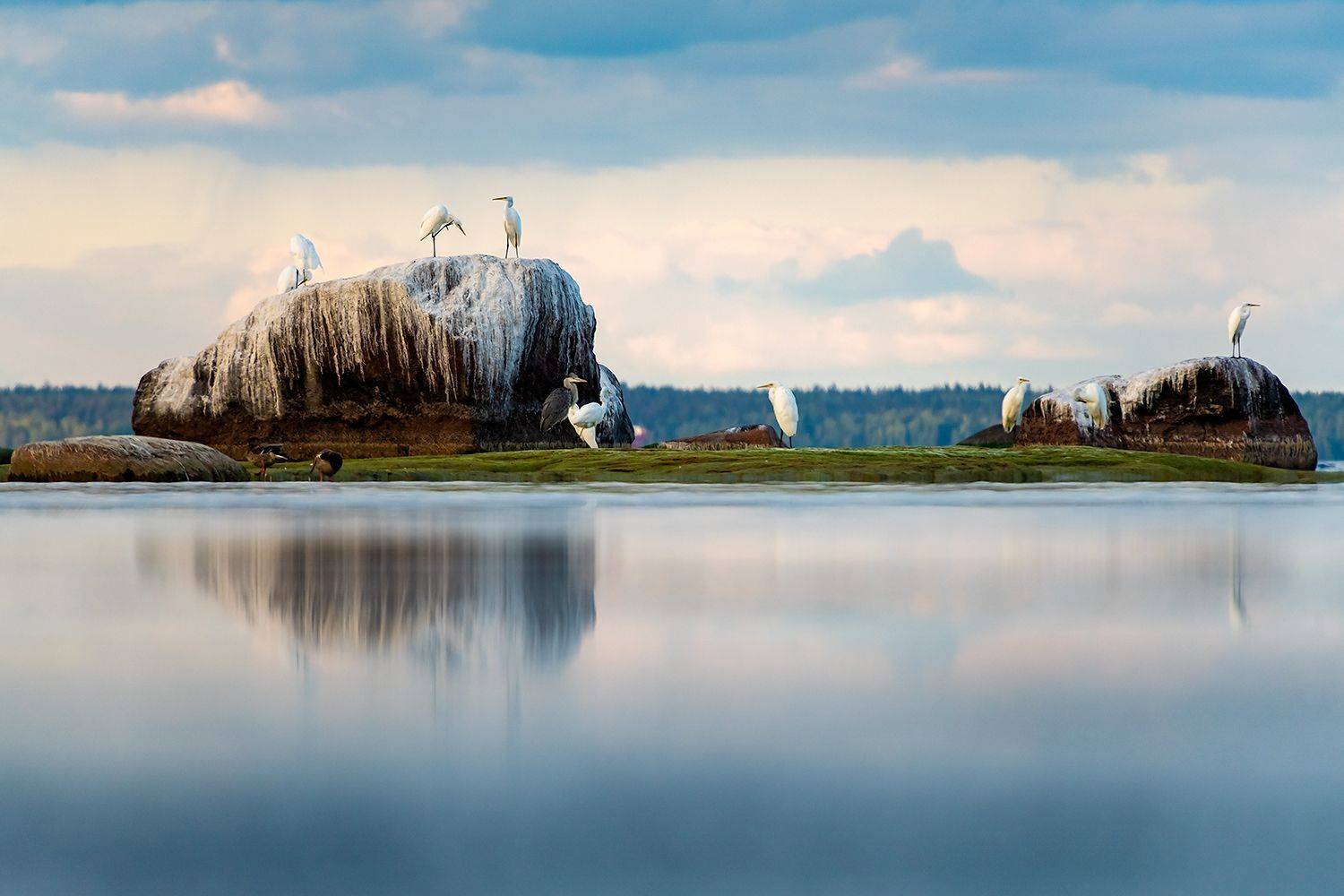 , Александр Абросимов