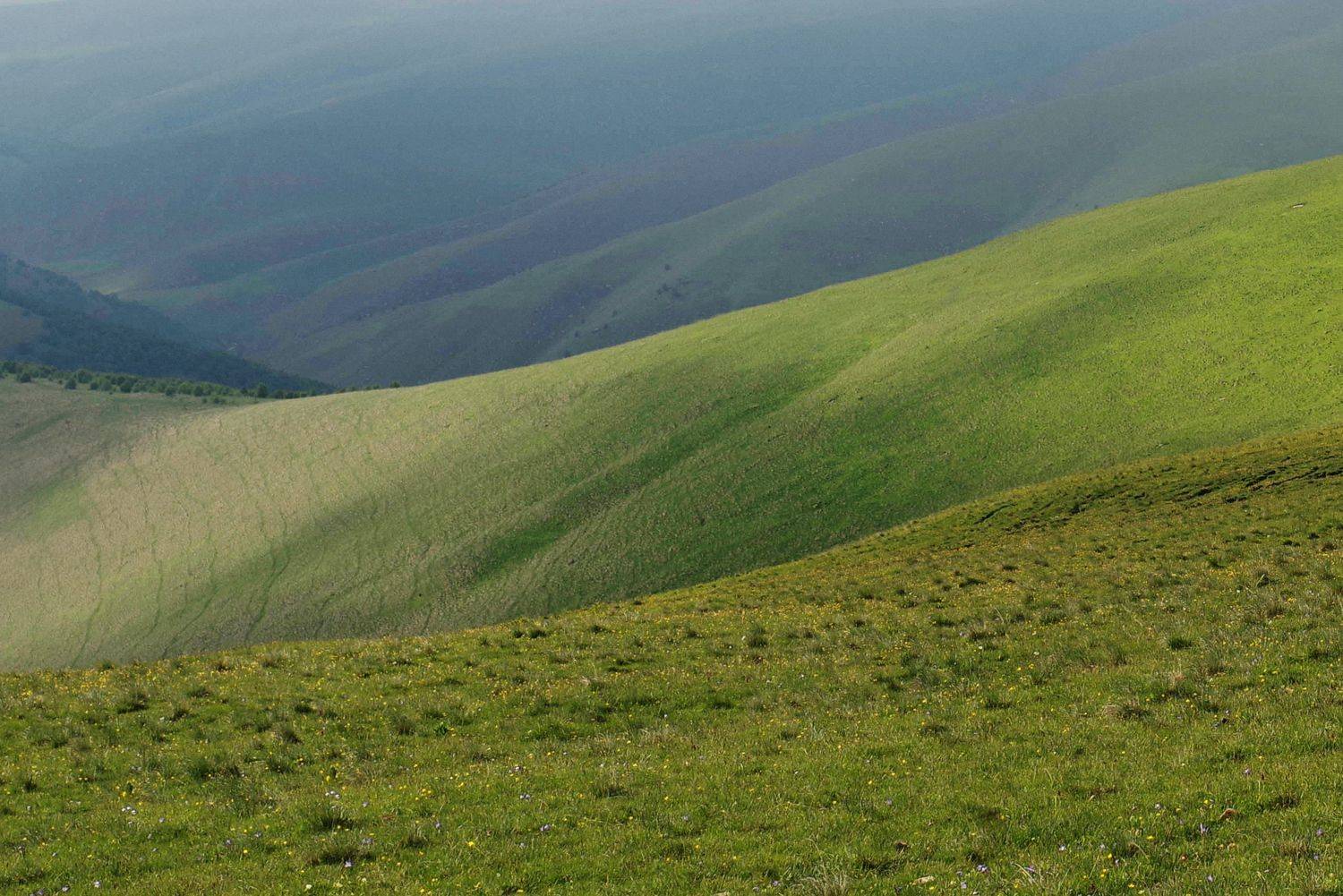 , Ольга Беккер