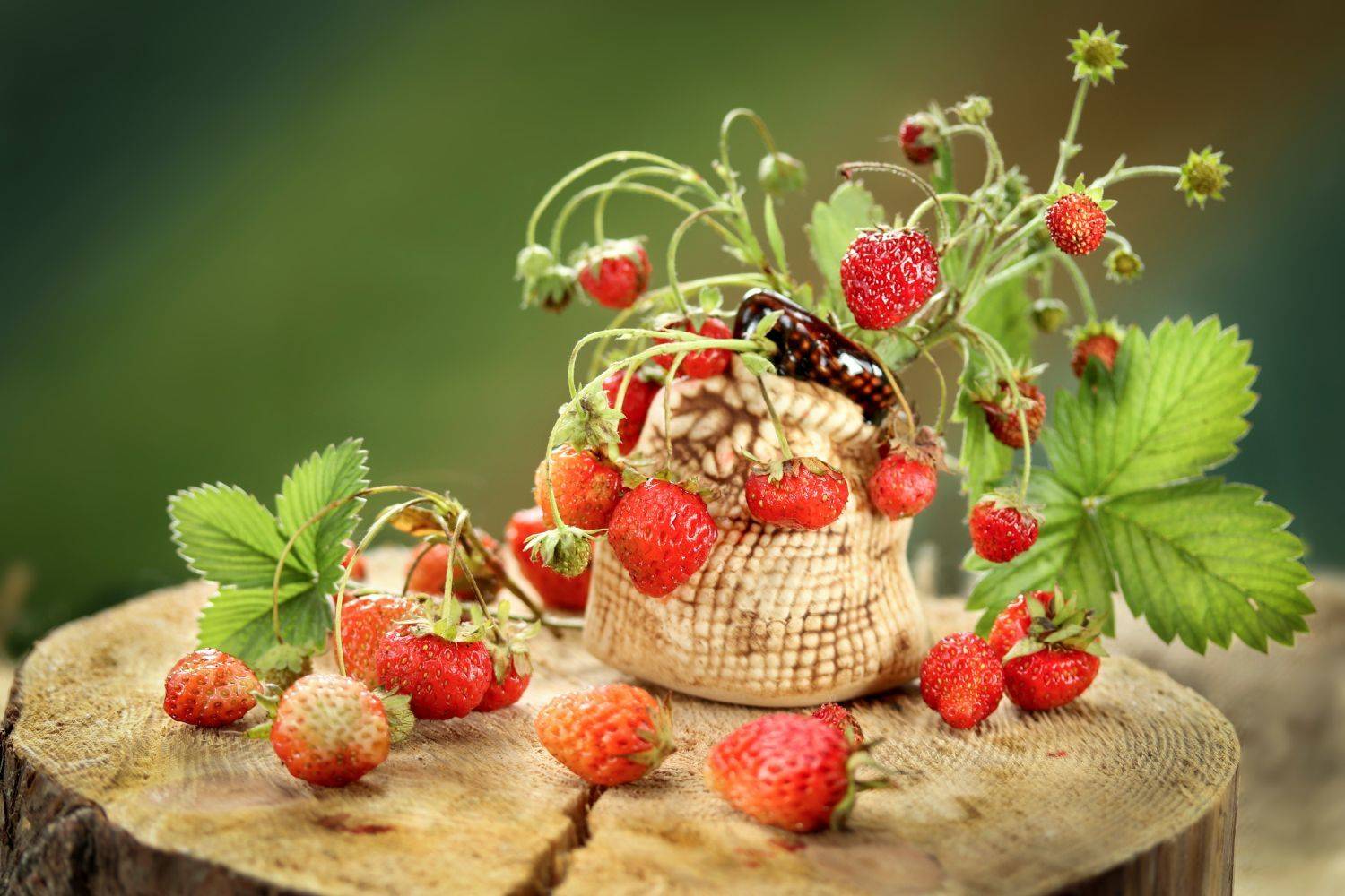 ягоды, клубника, ваза,, Шруб (Беляева) Татьяна