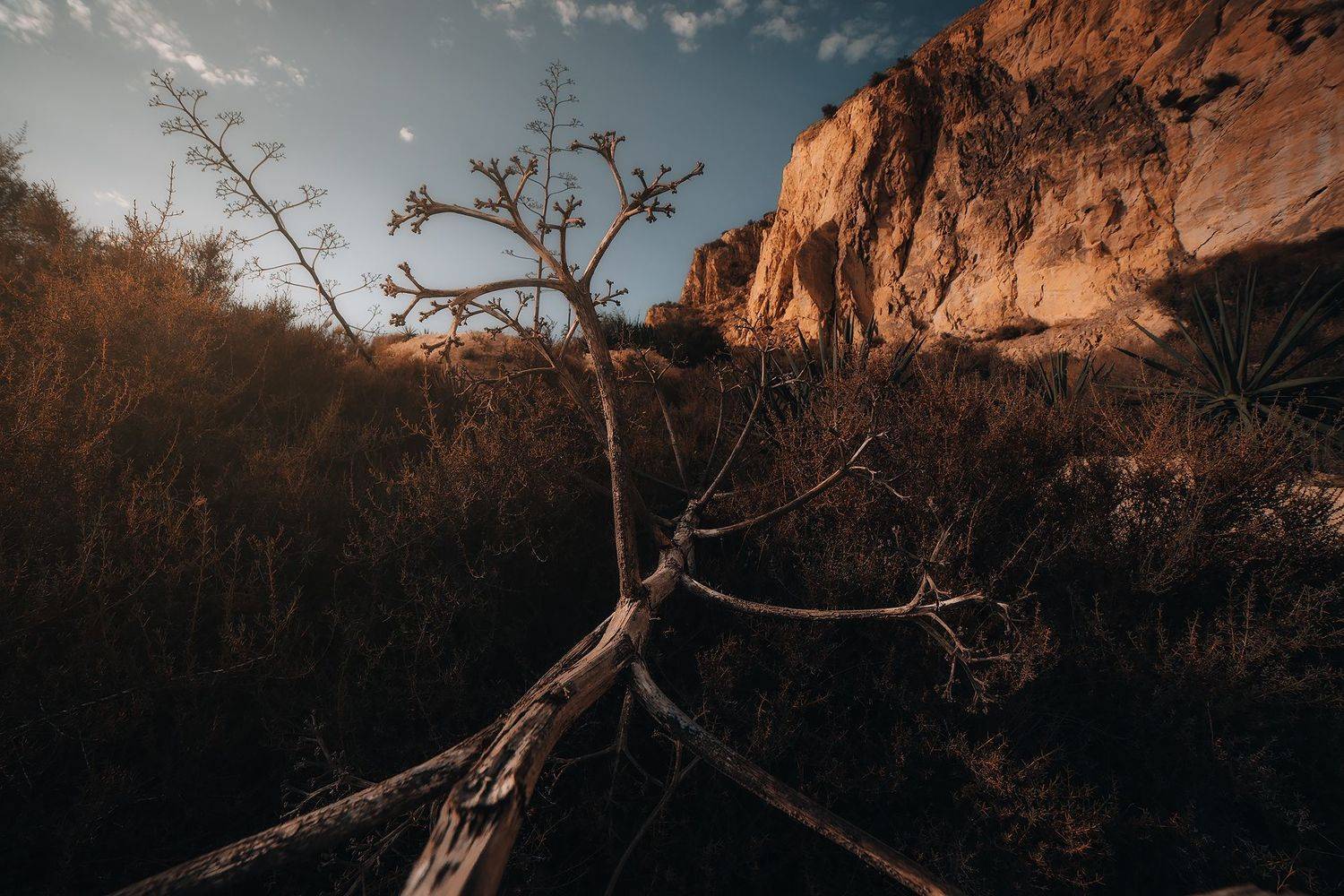 , Шаповалов Олег