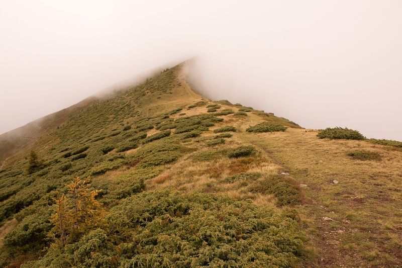 Fog on the ridge фото превью