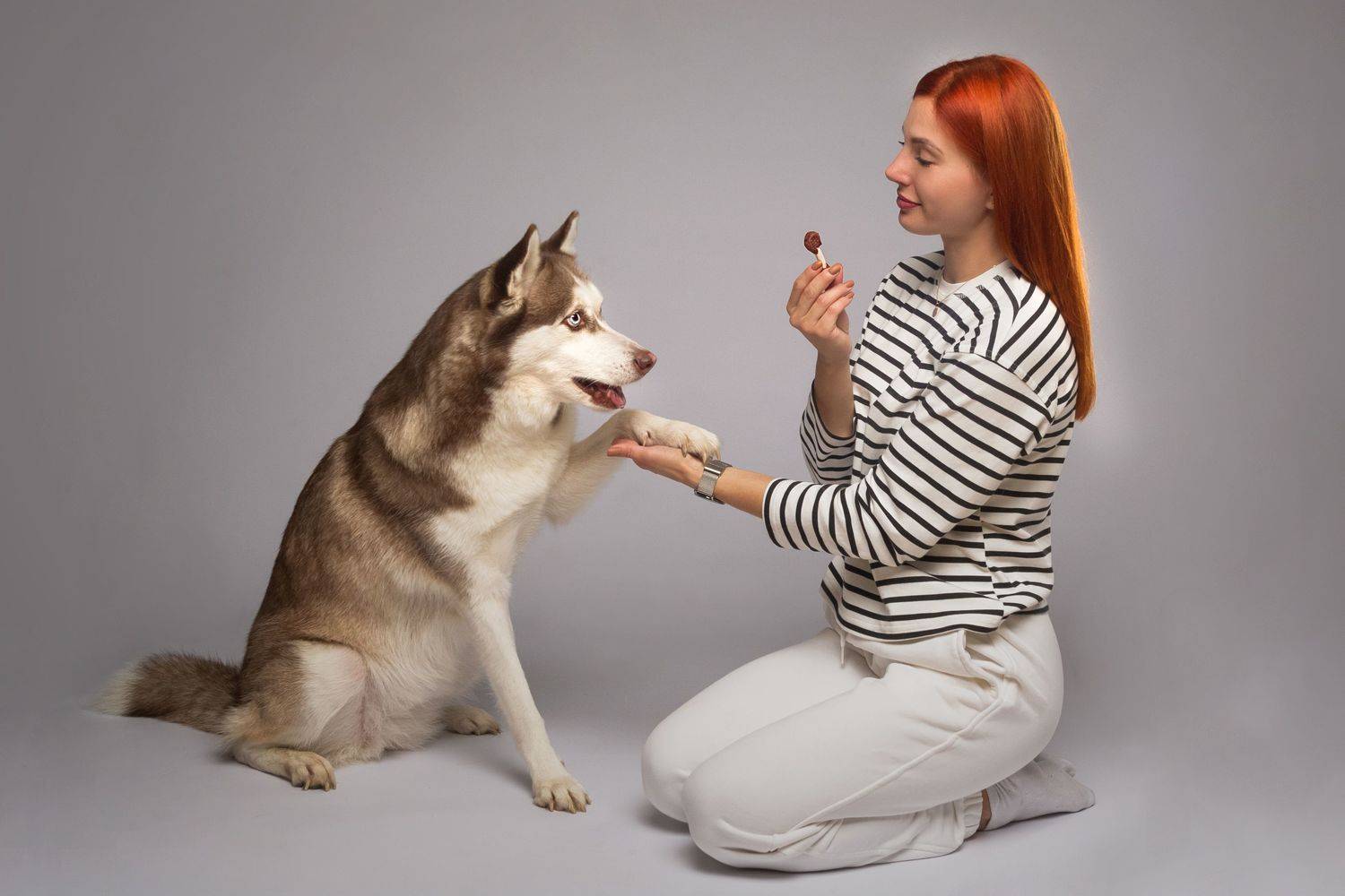 собака, хаски, портрет, девушка, Дёгтев Евгений