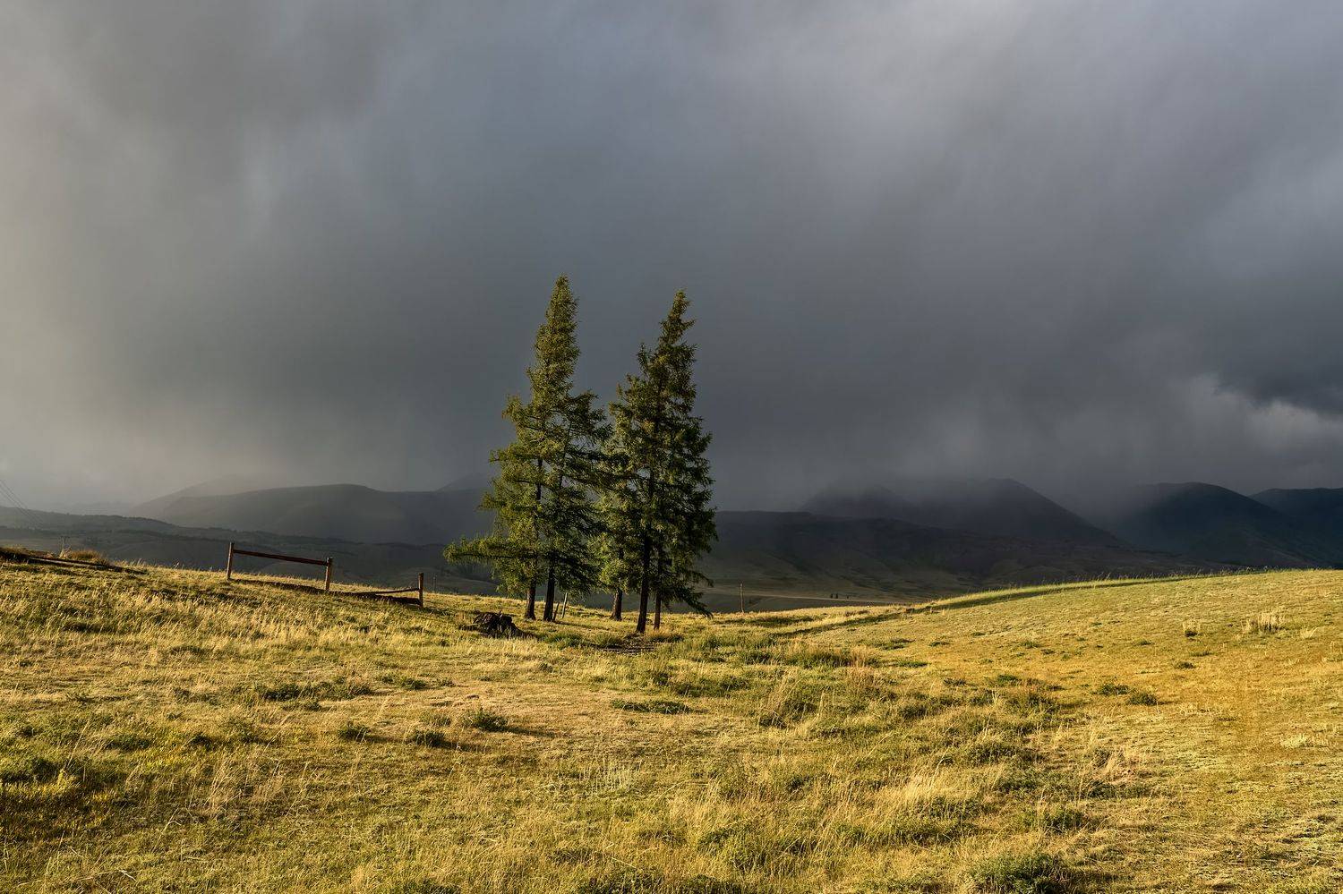 алтай, непогода, солнце., Марина Фомина