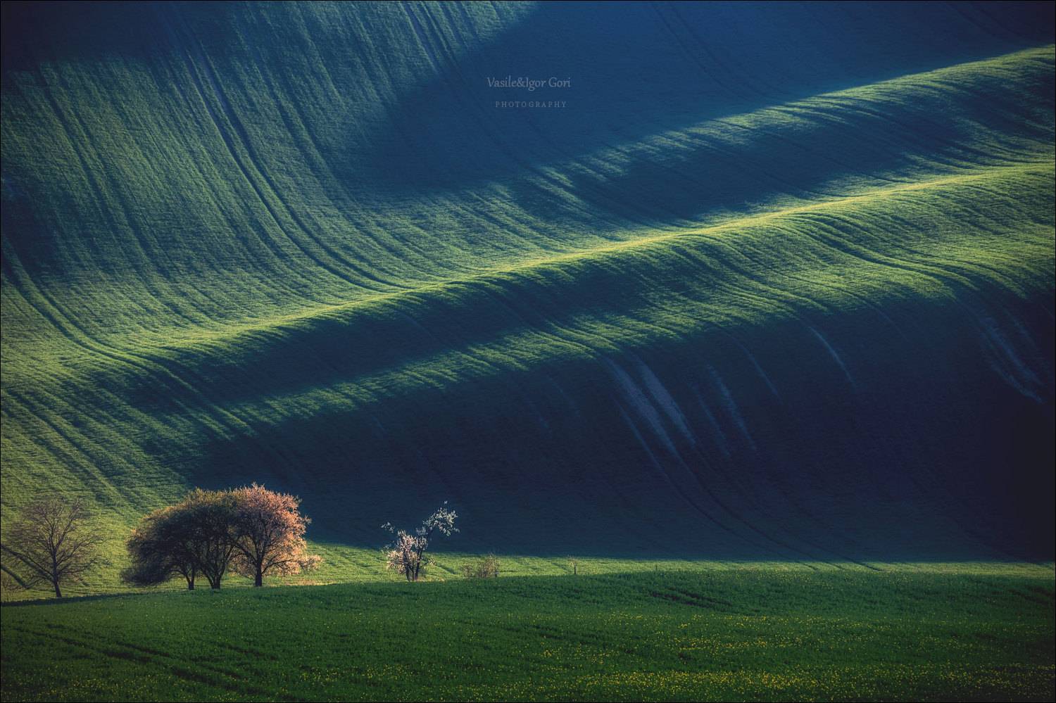 южная моравия,пейзаж,hils,линии,тени,south moravian,lines,свет,czech,весна,чехия,landscapes., Василий Гори