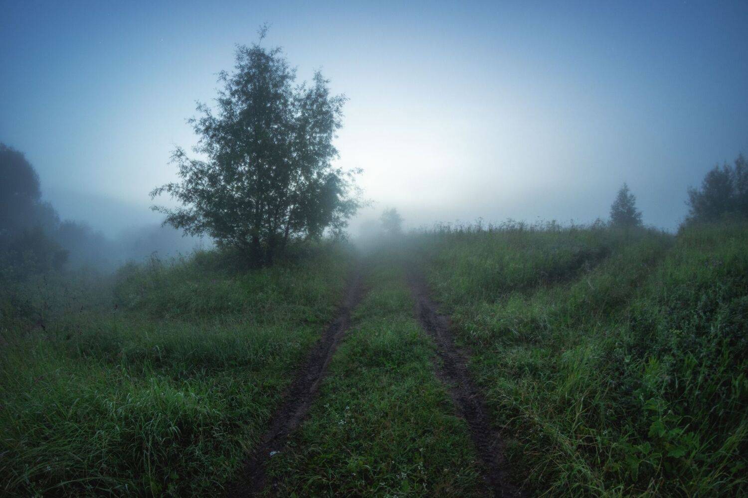 , Котов Андрей