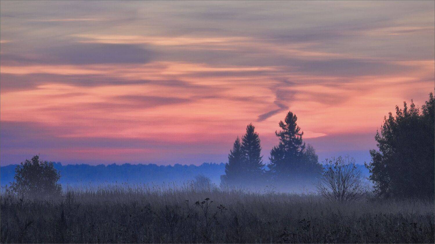 пейзаж, осень, туман, свет, цвет, александр никитинский, Никитинский Александр