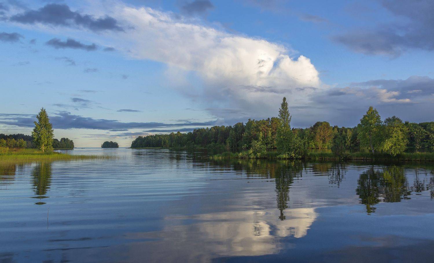 Онега, озеро, острова, лес, вода, облака, Сергей Аникин