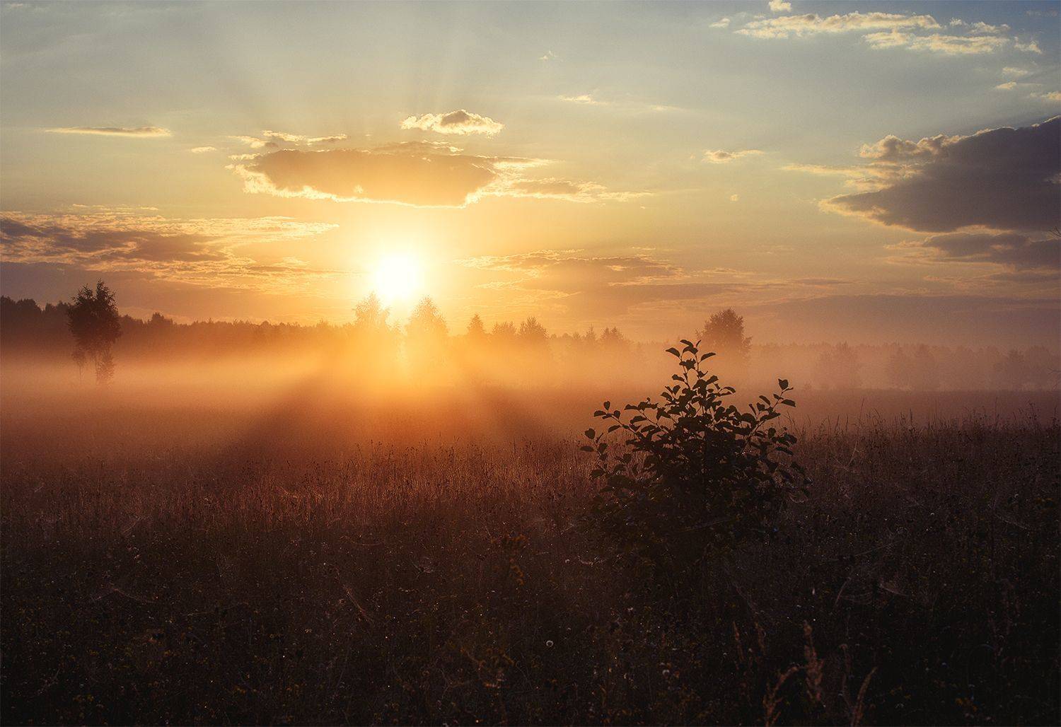, Овсенёв Александр