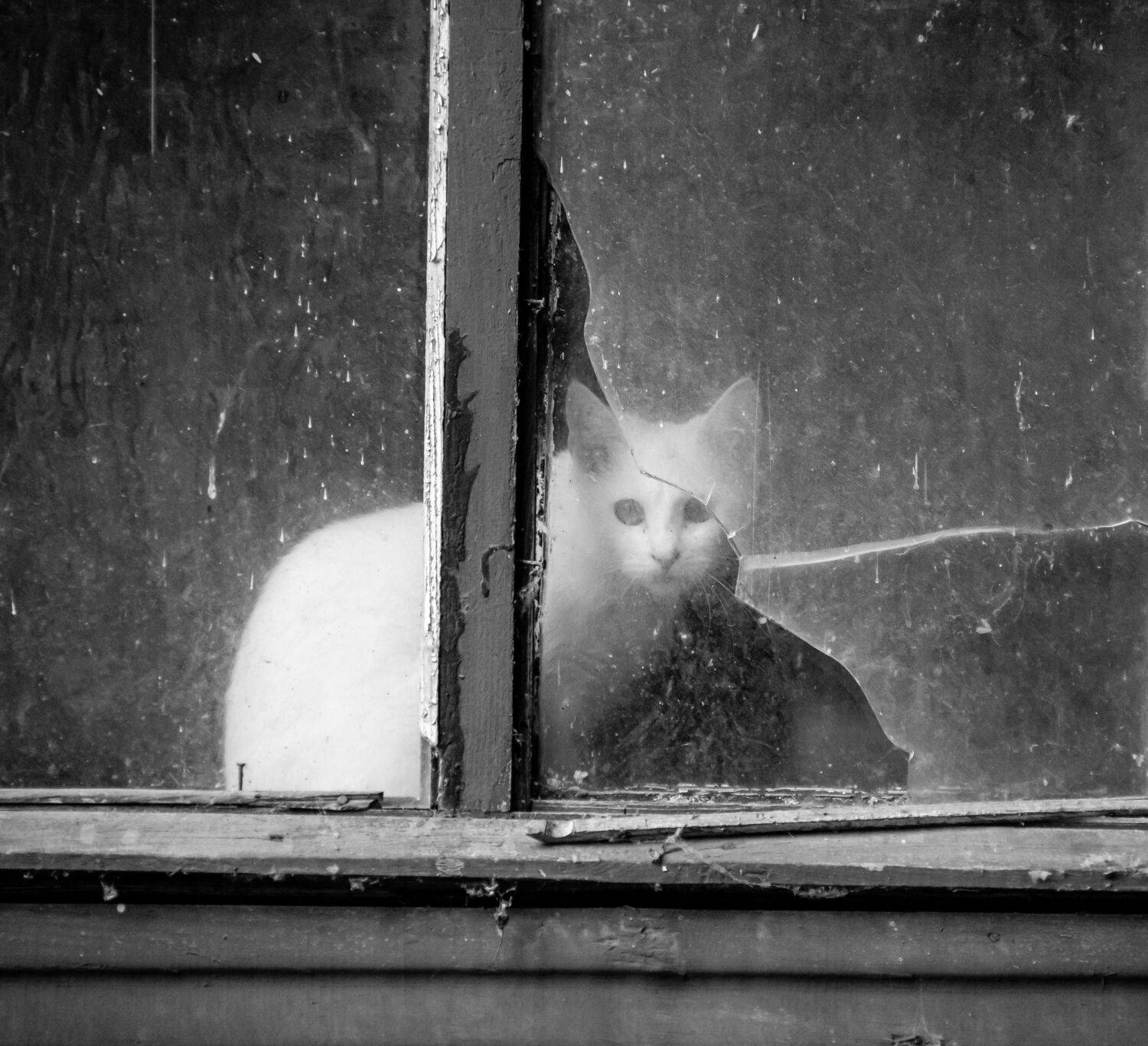 , Alexander Shilov