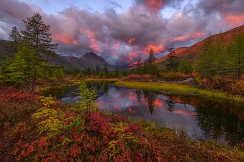 Краски осени.... Колымской осени...