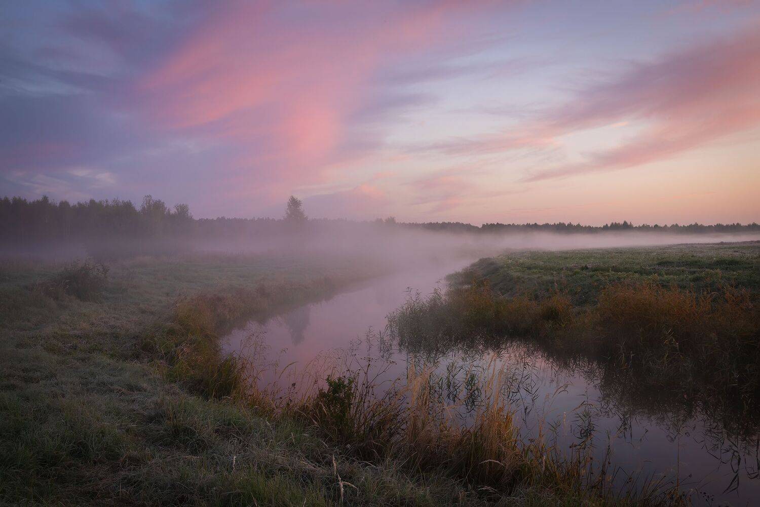, Захаров Дмитрий