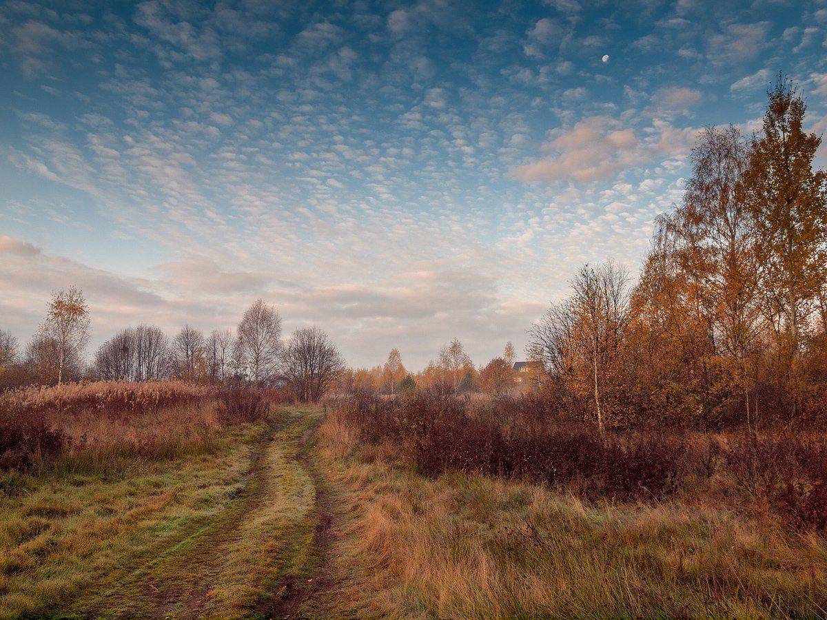 , Владимир Перепечаев