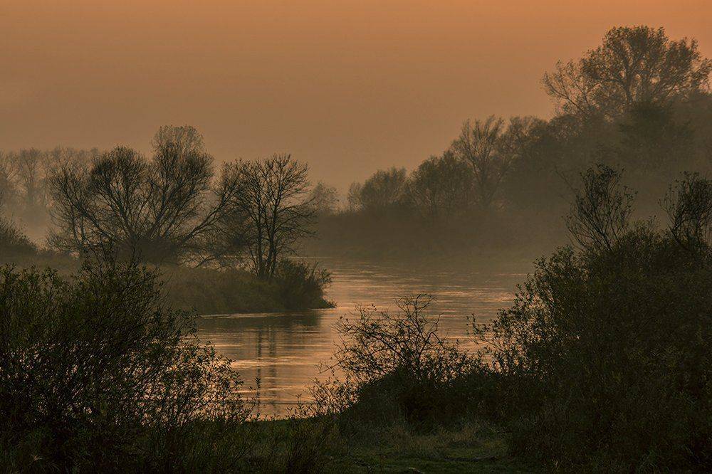, Pawel Plucinski