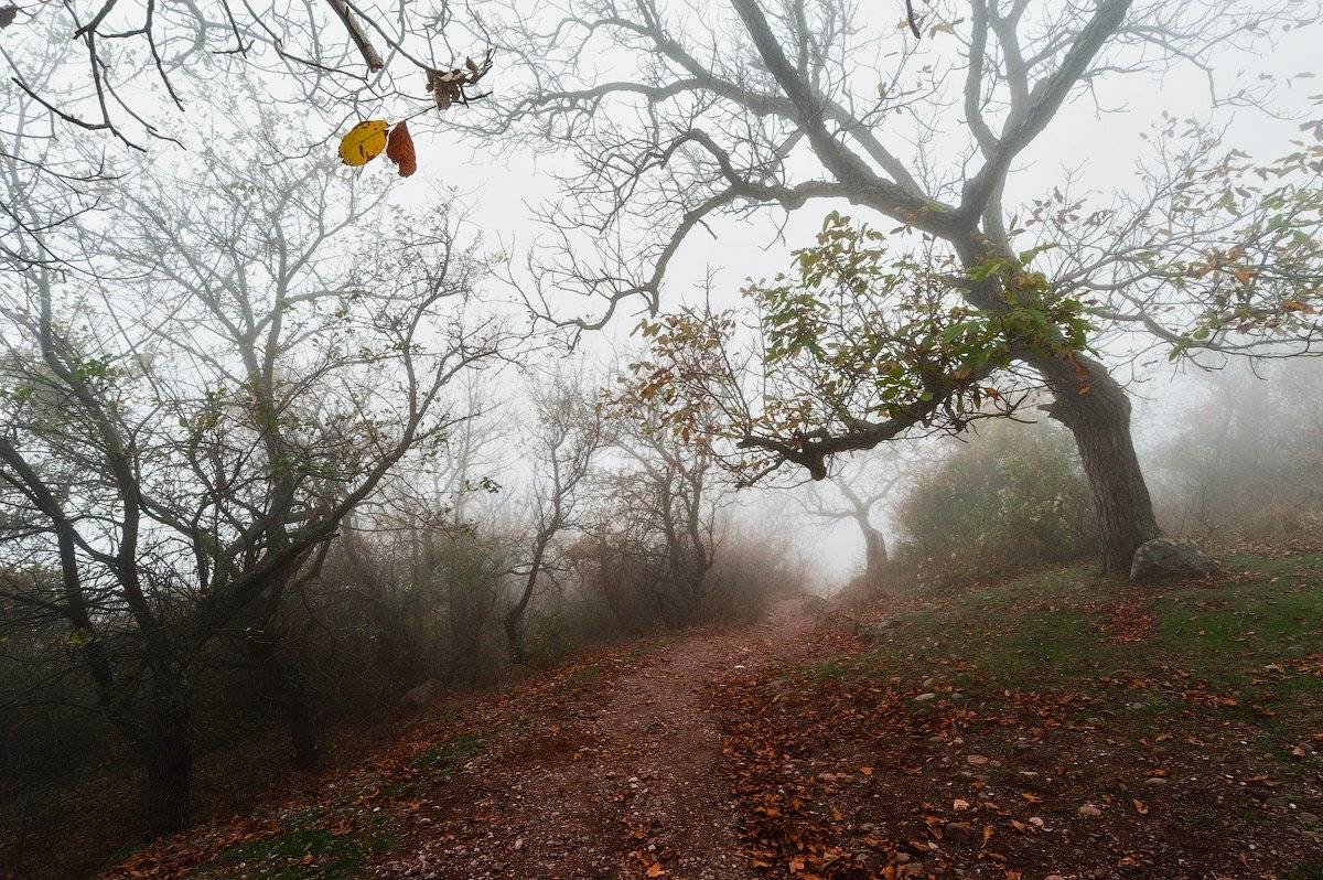 , Олег Логунов