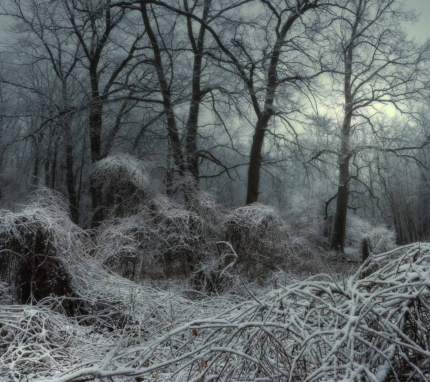 , Животков Андрей