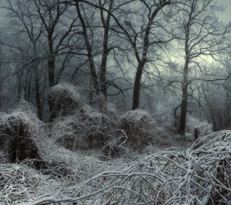Зимний сон фото превью