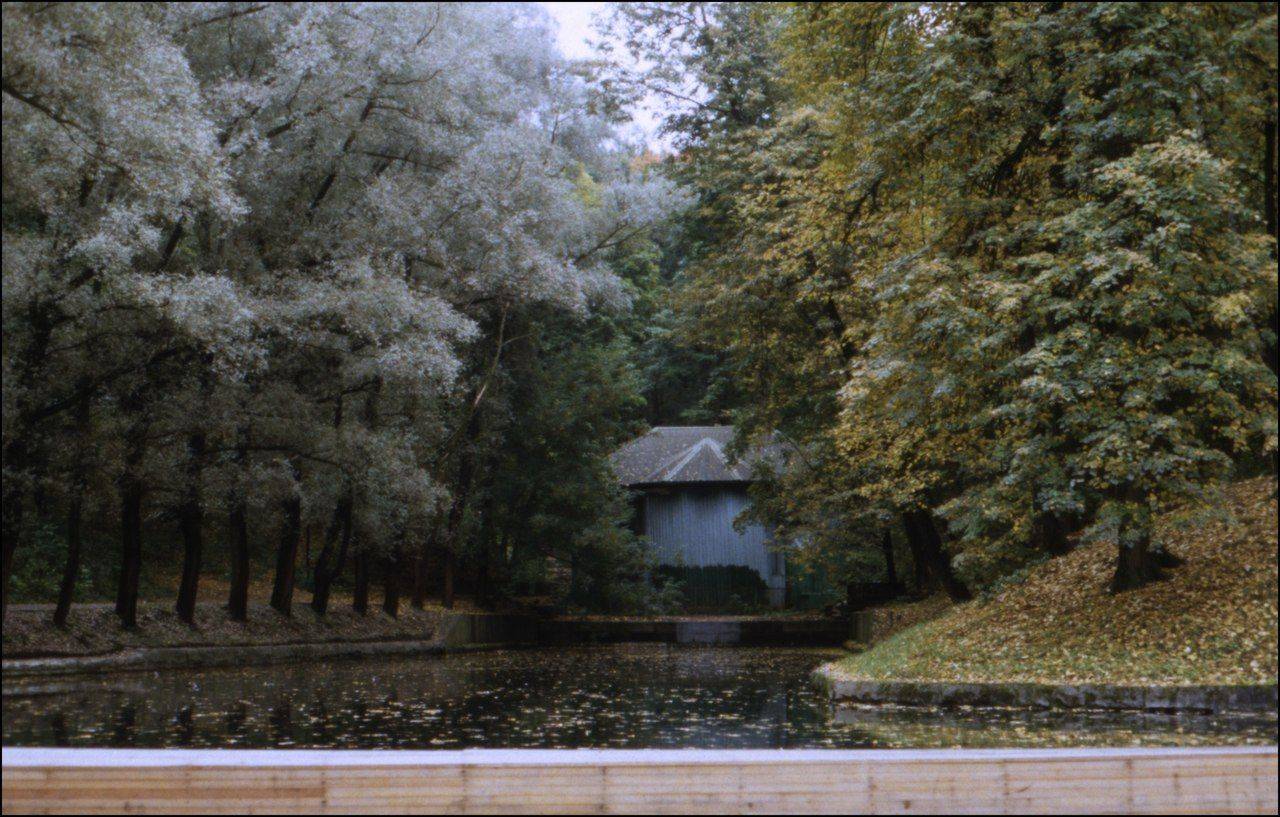 тарбеев, сентябрь, пленка, парк горького, москва, позитив, слайд, Bobby