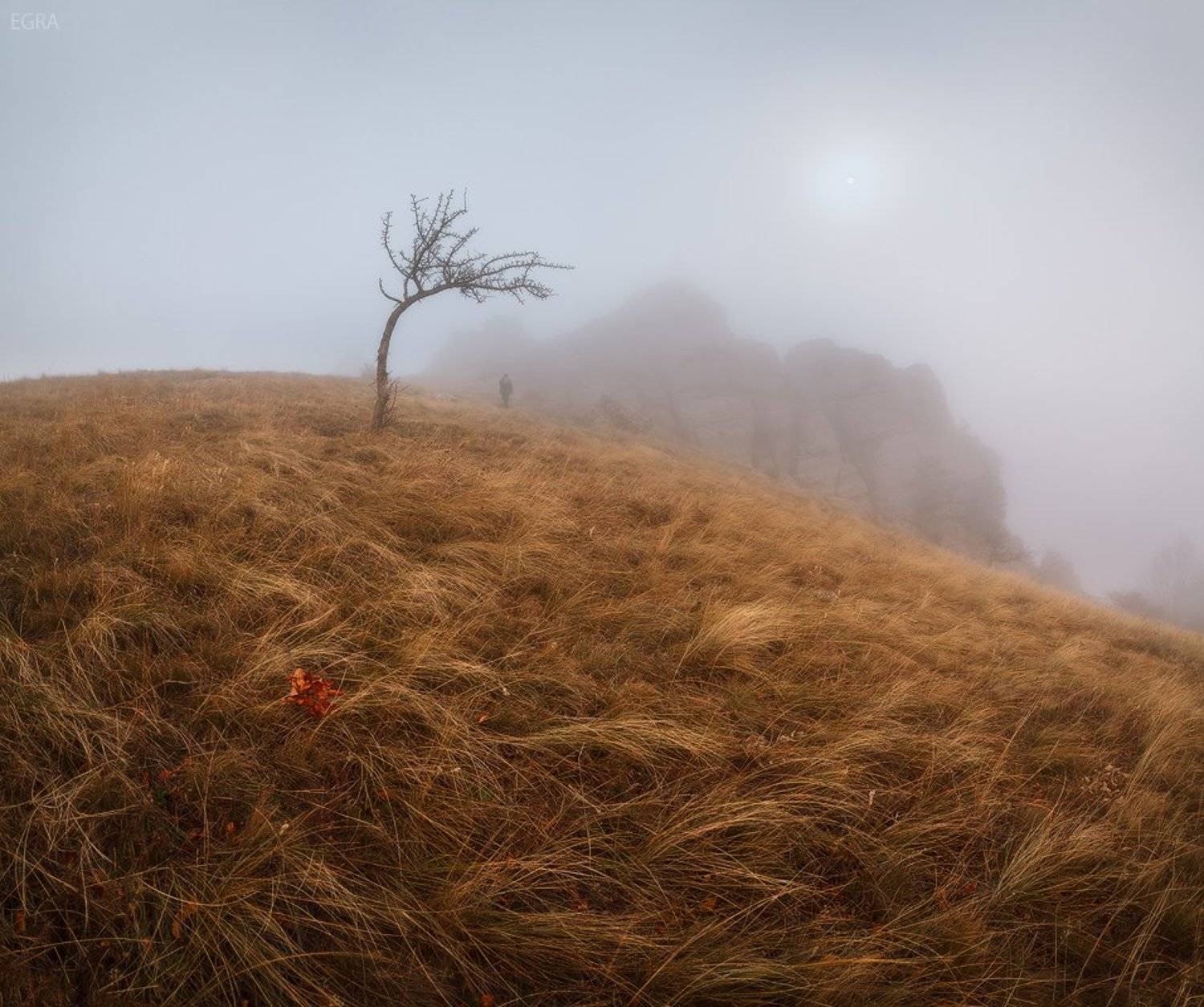 crimea, demirdji, демирджи, крым, EGRA