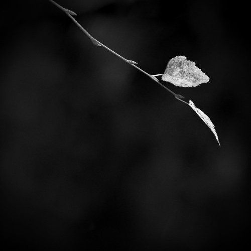 Без назавния