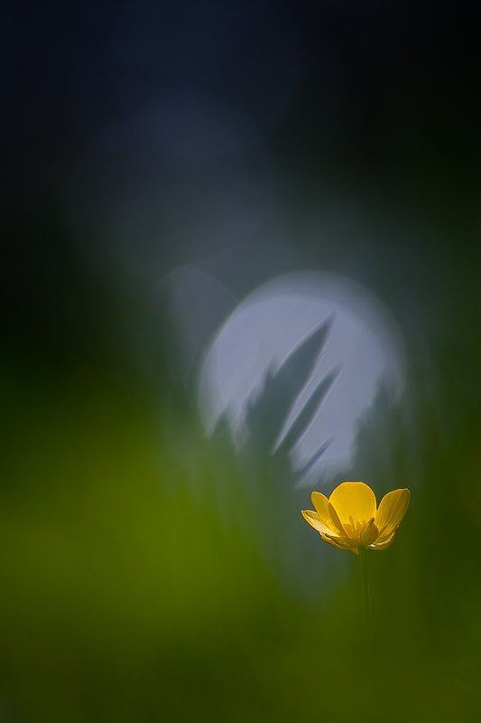 Out of the green фото превью